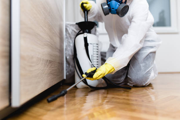  Highlandville, MO Pest Control Pros