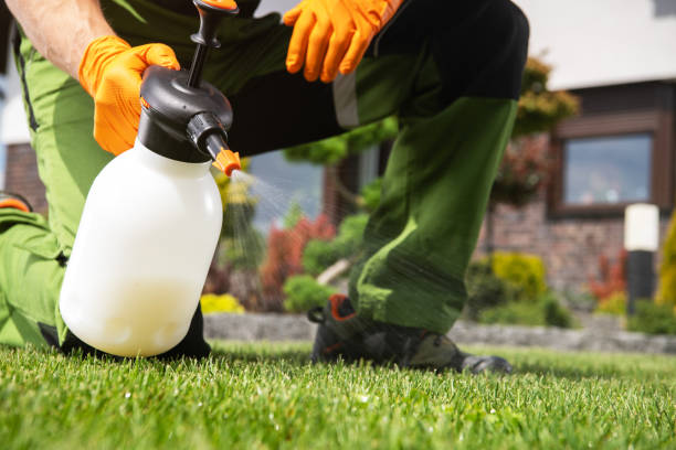Best Wildlife Control Services  in Highlandville, MO