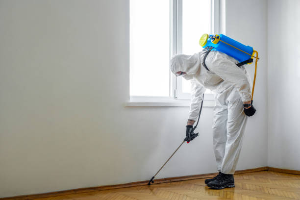Best Residential Pest Control  in Highlandville, MO