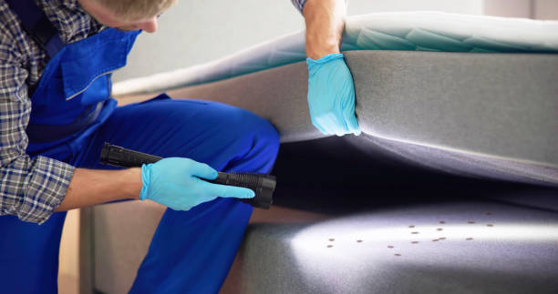 Best Affordable Pest Control Services  in Highlandville, MO