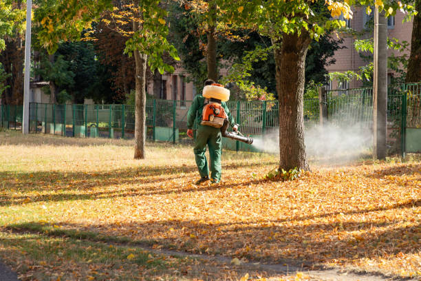 Best Flea Control Services  in Highlandville, MO